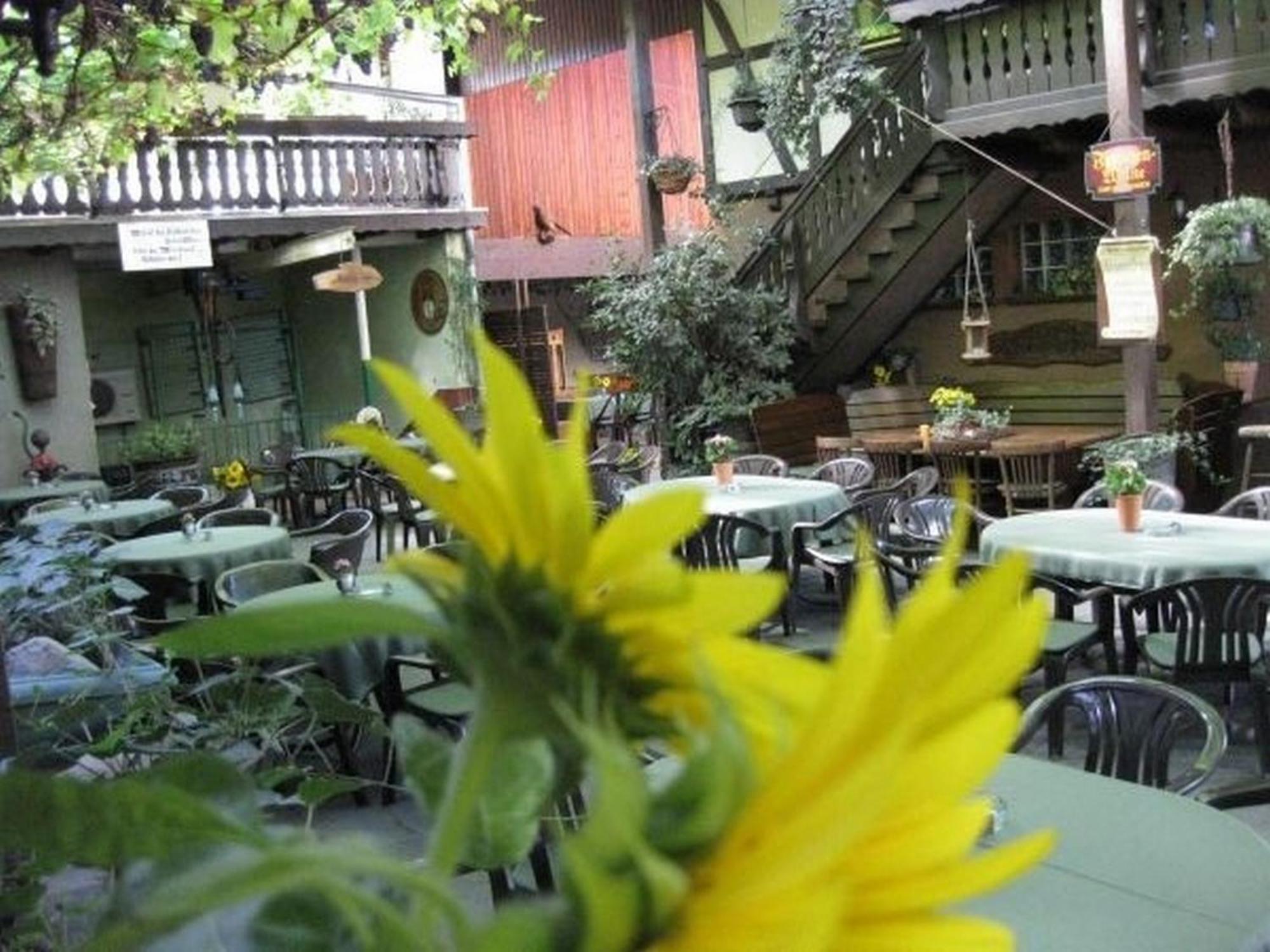 Hotel Weingut Franz Schaefer Bad Neuenahr-Ahrweiler Zewnętrze zdjęcie